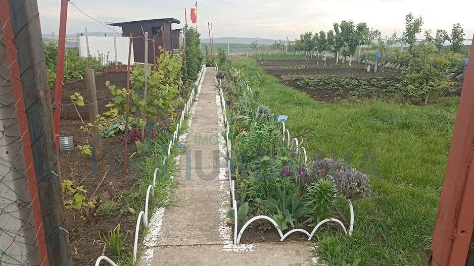Teren Intravilan 470 mp   Horlești, Comuna Rediu (Proprietar) - Poză 4