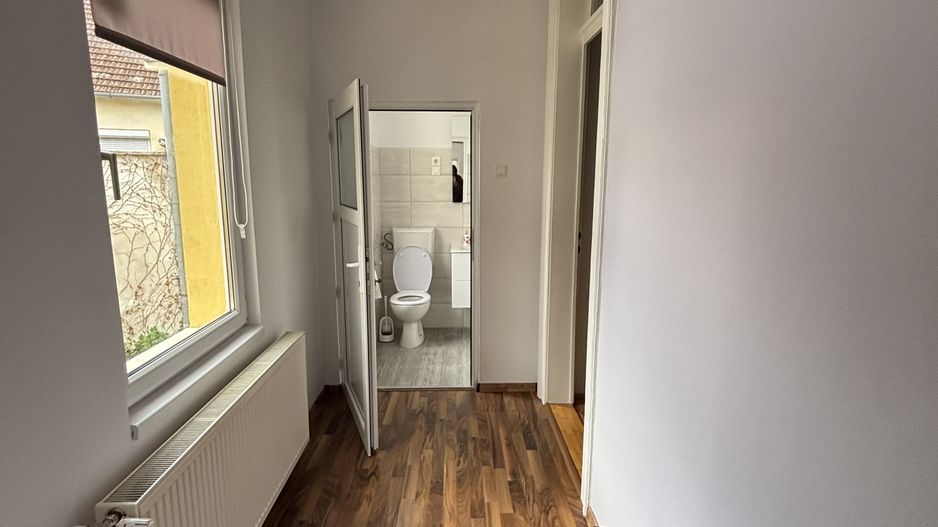 Vilă de închiriat zona Parvan - Poză 17