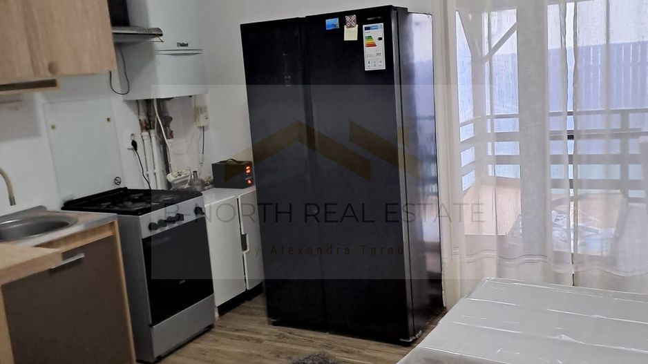 Inchiriere Vila  Drragomiresti Deal - Poză 7