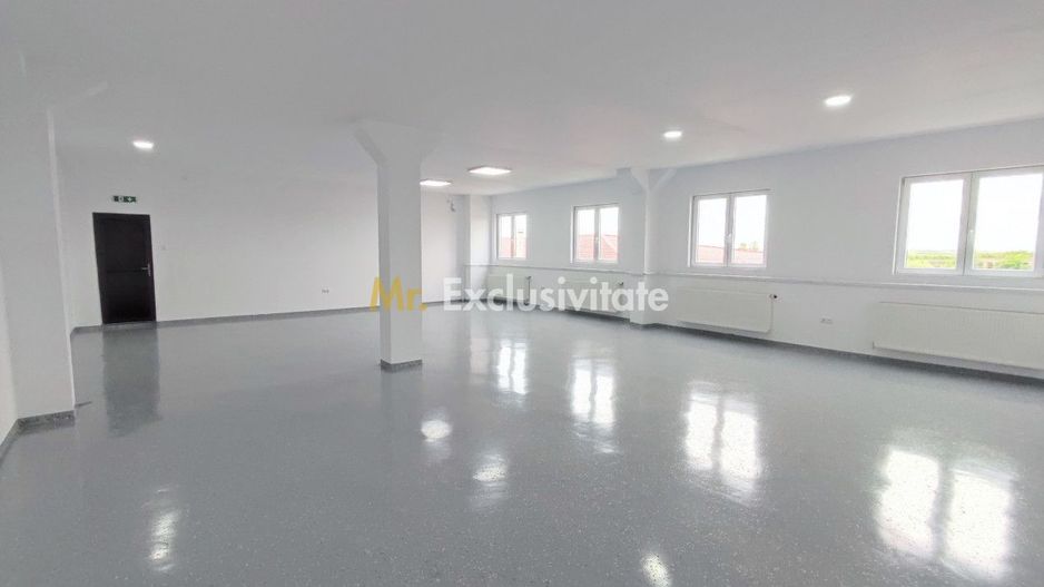 Inchiriere Spații de Birouri/Producție - Str. Uzinei - Carei - Comision 0% - Poză 2
