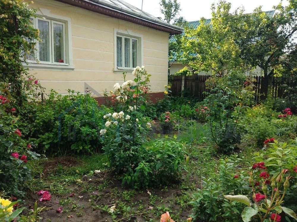 Casă cu teren în Deleni, Iași - Stradă principală - Poză 5