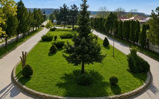 VANZARE VILA | HALA IN VLADICEASCA | SNAGOV | 10.500 MP TEREN - Poză 5
