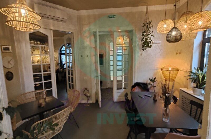 Afacere la cheie – Bistro & Airbnb | Vilă consolidată Parcul Carol & Tineretului - Poză 4