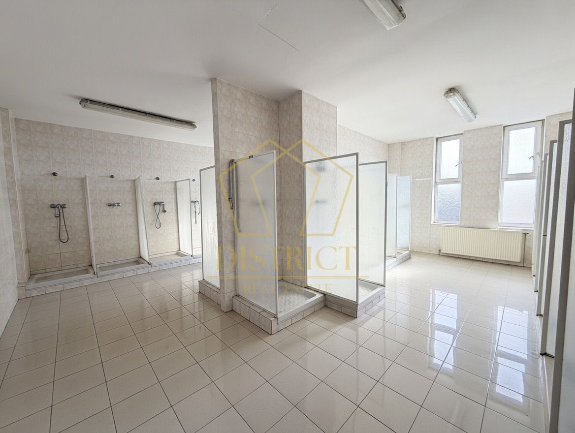 Hala industriala 4.300mp | Sagului | Timisoara | - Poză 3