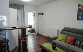 Popas Pacurari- Casa Auto Dacia - Apartament 1 camera - Parcare privata - Poză 15