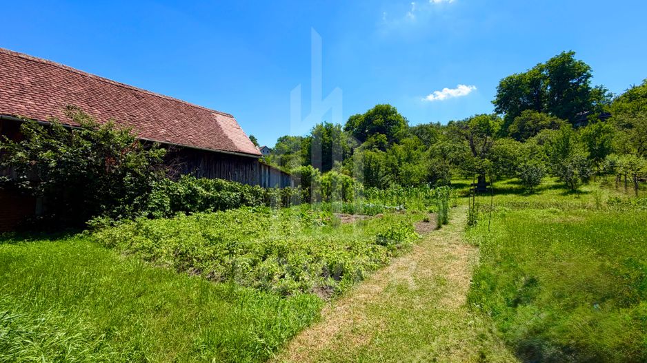 Casă de vânzare-teren 2.300 mp| Ocna Sibiului - Poză 28