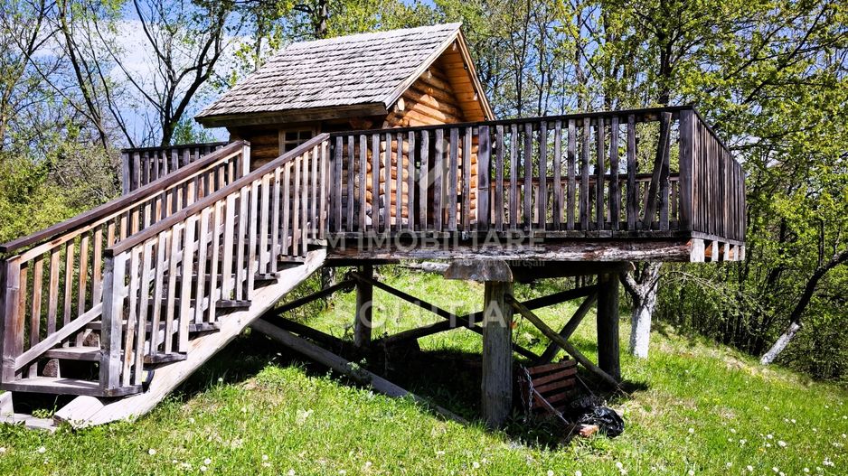 Pensiune agroturistică de vânzare | Desești – Maramureș - Poză 18