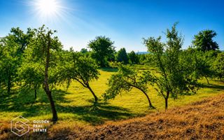 Teren agricol extravilan 250,47 ha, Șiștarovăț, județul Arad - Poză 2