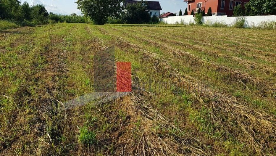 Teren Adunații Copăceni - Poză 4