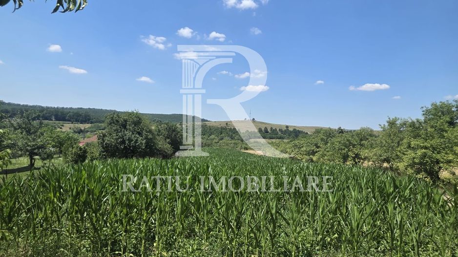 Casa de vânzare cu teren generos | Sumugiu | Bihor - Poză 30
