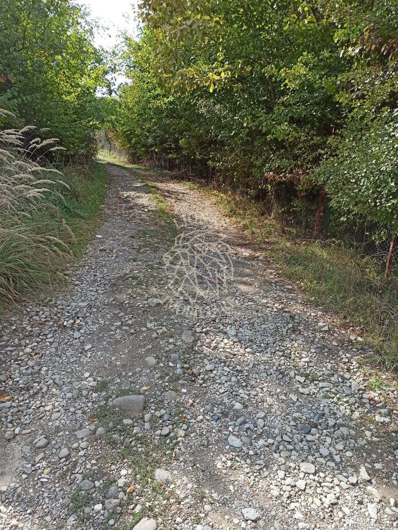 Teren  42,200 mp (4,22 hectare)-Parcelabil-investitie-Valea Jelnei - Poză 3