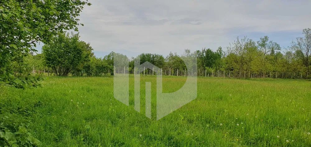 Teren Intravilan Valea Avrigului- 839 mp-Raul in fata terenului - Poză 6