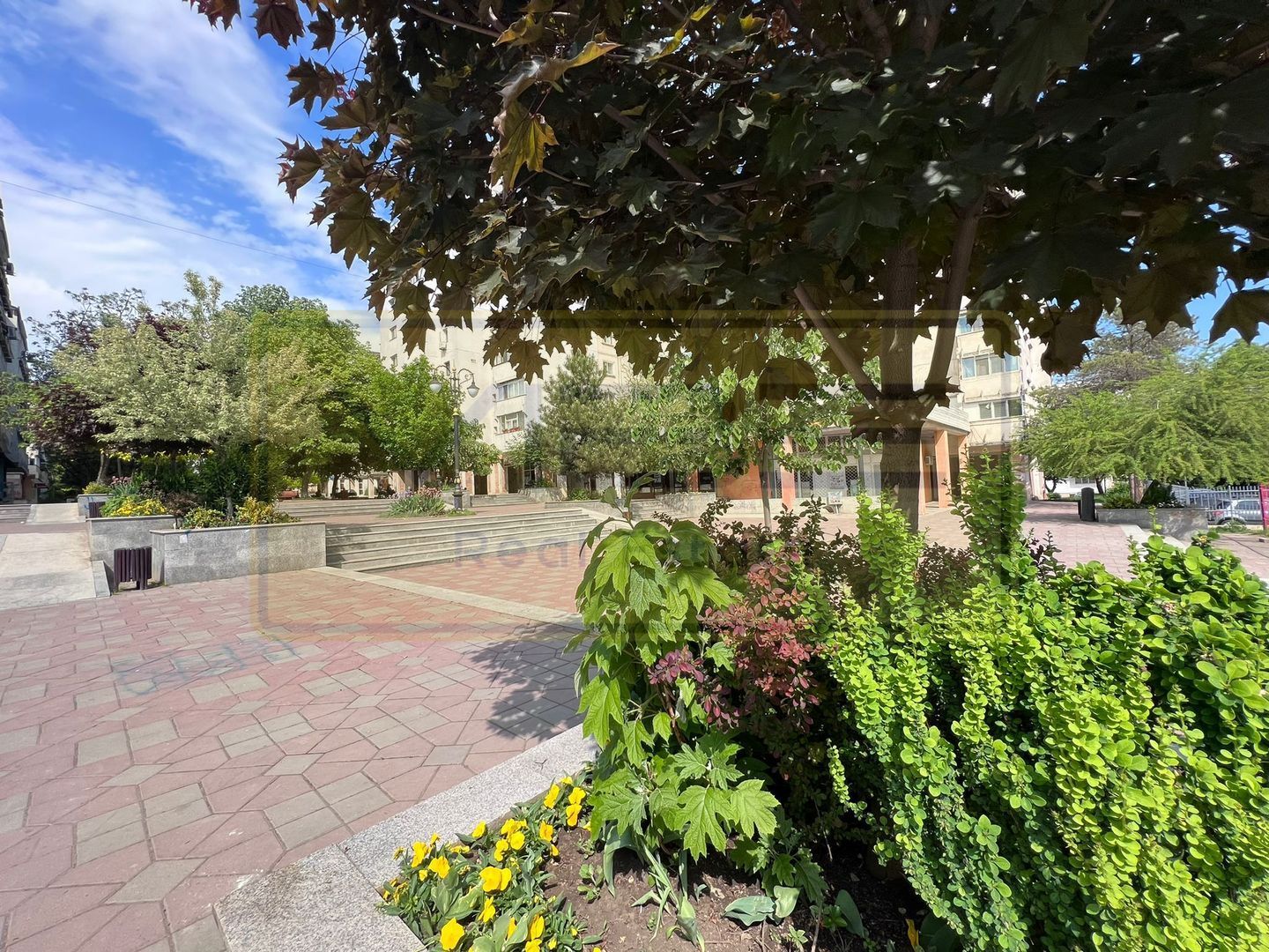 Apartament 3 camere premium Tatarasi Parcul Ciurchi - Poză 19