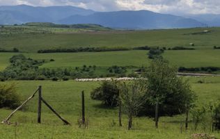 De vanzare, teren 11.500 mp – Dealul Dăii,  Vedere panoramică spre munți și lac