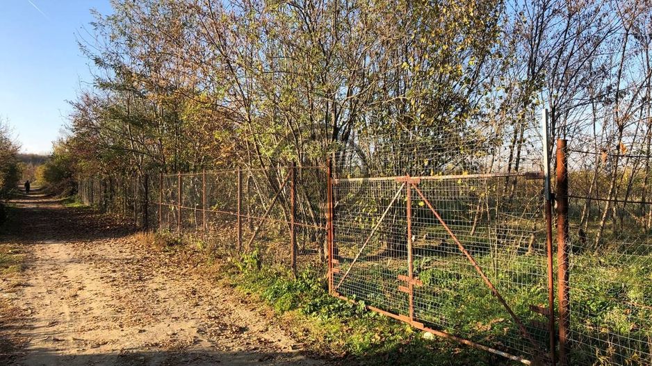 Teren intravilan de vanzare | 12.650 mp | Ghirdoveni | Comision 0% - Poză 9
