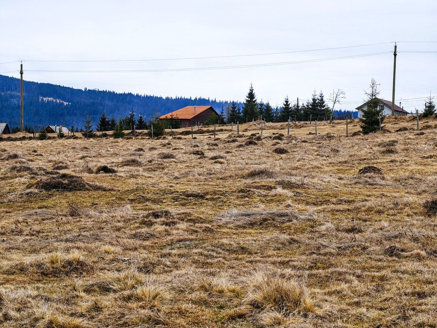 TEREN CU VEDERE LA LAC, 5959 MP Statiunea Turistica Montana BELIS-CLUJ - Poză 2