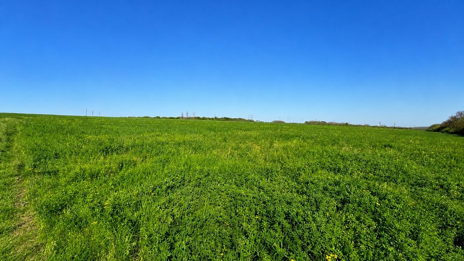 Teren agricol de 40 ari în Ghidighici – oportunitate pentru investiție sau activitate agricolă - Poză 1