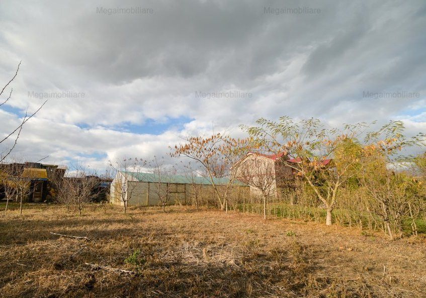Vanzare ferma agricola Negru Voda - Constanta cu 240 hectare teren si utilaje - Poză 19
