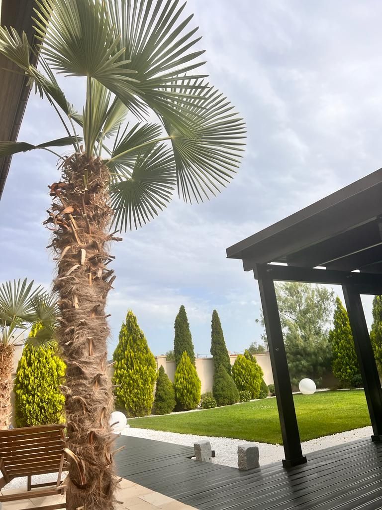 Casa individuala Dumbravita - Poză 5