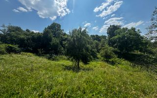 TEREN INTRAVILAN 2146 MP, ALBESTII DE MUSCEL, ARGES - Poză 1