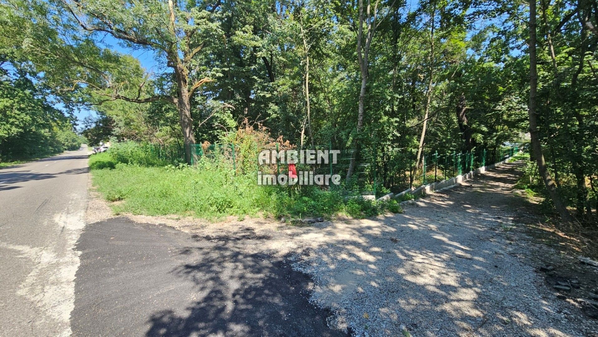 INVESTIȚIE!! Teren intravilan 5.000 mp, zona BĂLTENI - Padure; - Poză 6