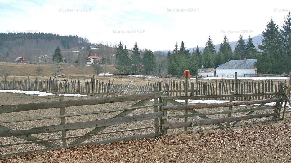 VALEA DOFTANEI - Traisteni, langa Conacul Dascalu, vanzare 2.537 mp. teren - Poză 16