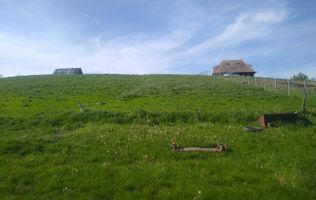 Teren 2500 mp-ideal agricultura/cabane/sera-panorama-Monariu