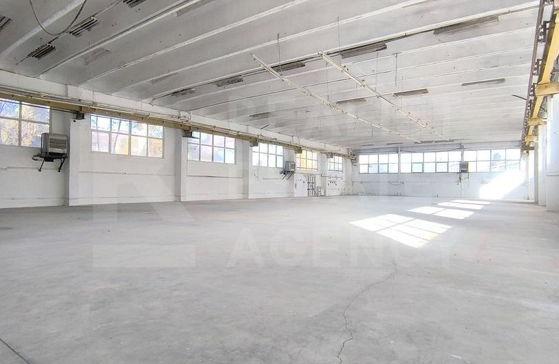 Hală de vânzare – Parcul Industrial Tohanul Vechi, Zărnești - Poză 5