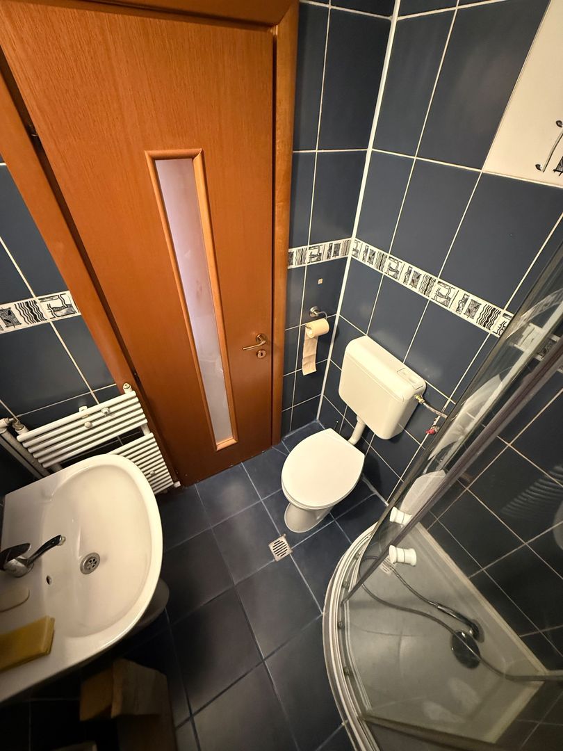 2 camere|| FLOREASCA COMPOZITORI - Poză 3