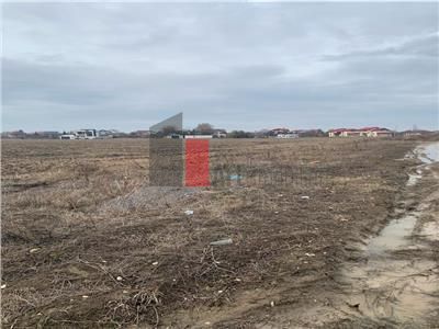 Vanzare Teren 3200mp  Cornetu  Ilfov - Poză 3