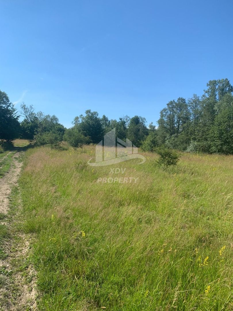 Teren in zona turistica Porumbacu de Sus - Poză 3