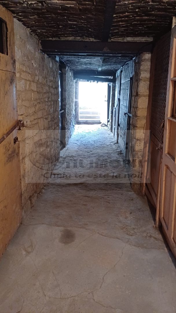 APARTAMENT ULTRACENTRAL , PIATA UNIRII, CUZA VODA 70 MP PLUS CURTE - Poză 33