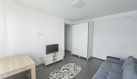 Apartament o camera - Bucium - Visan - 300Euro