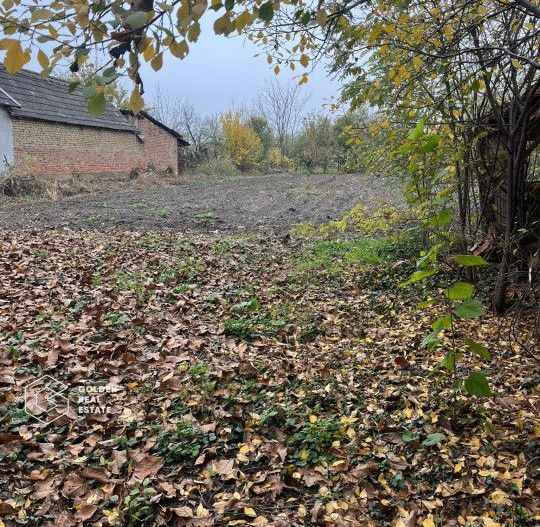 Casa traditionala cu gradina de 2200 mp, Peregu Mic - Poză 8