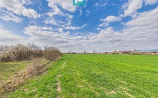 Teren extravilan, 1 ha, în orașul Sebiș, Arad - Poză 6