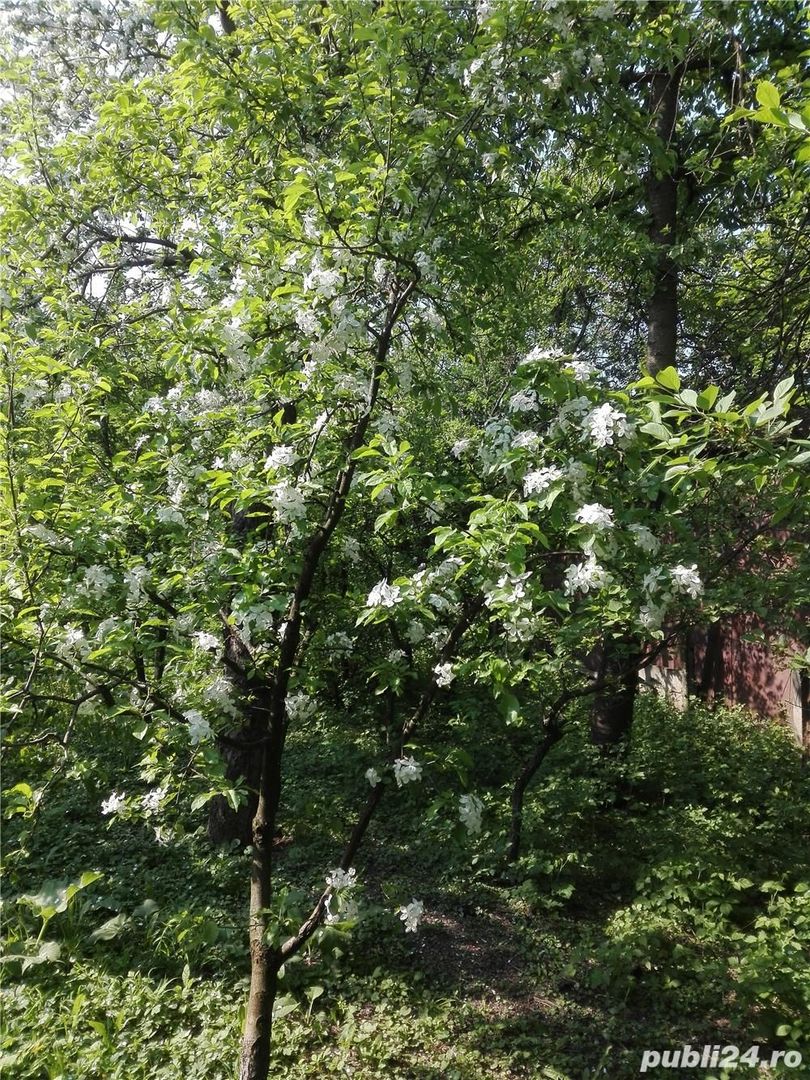 BRASADAS vinde casa mare cu teren 2100 mp zona Titulescu. - Poză 9