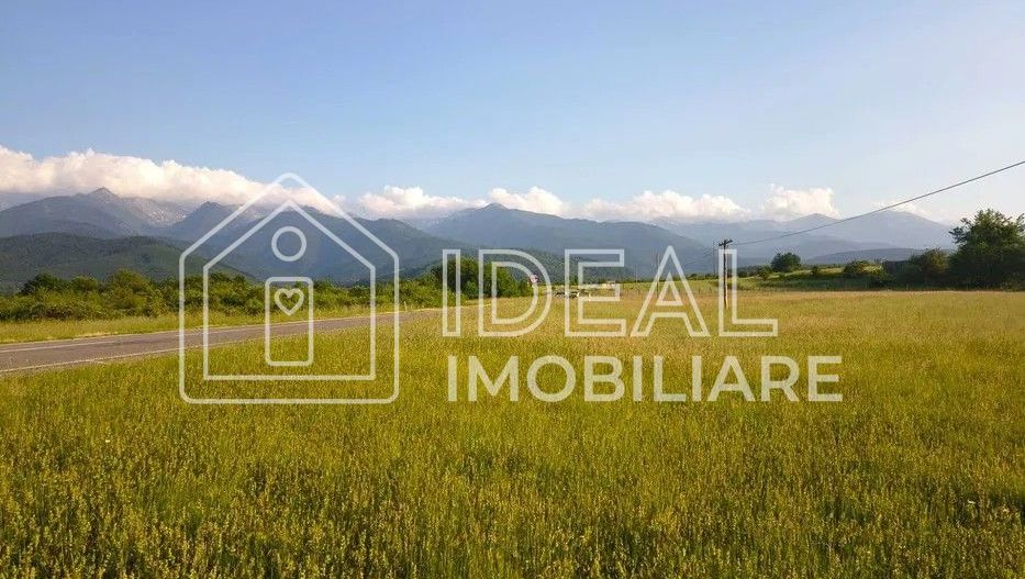 Teren extravilan de vânzare | Cârțișoara | 1800 mp - Poză 4