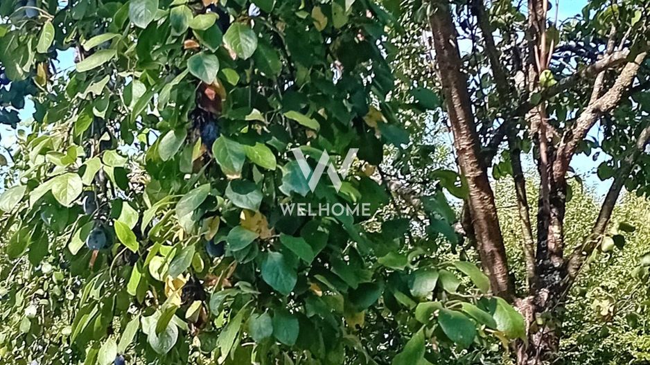 974 mp de vis, între pădure și cer - Teren intravilan, Cisnadioara, Sibiu - Poză 7