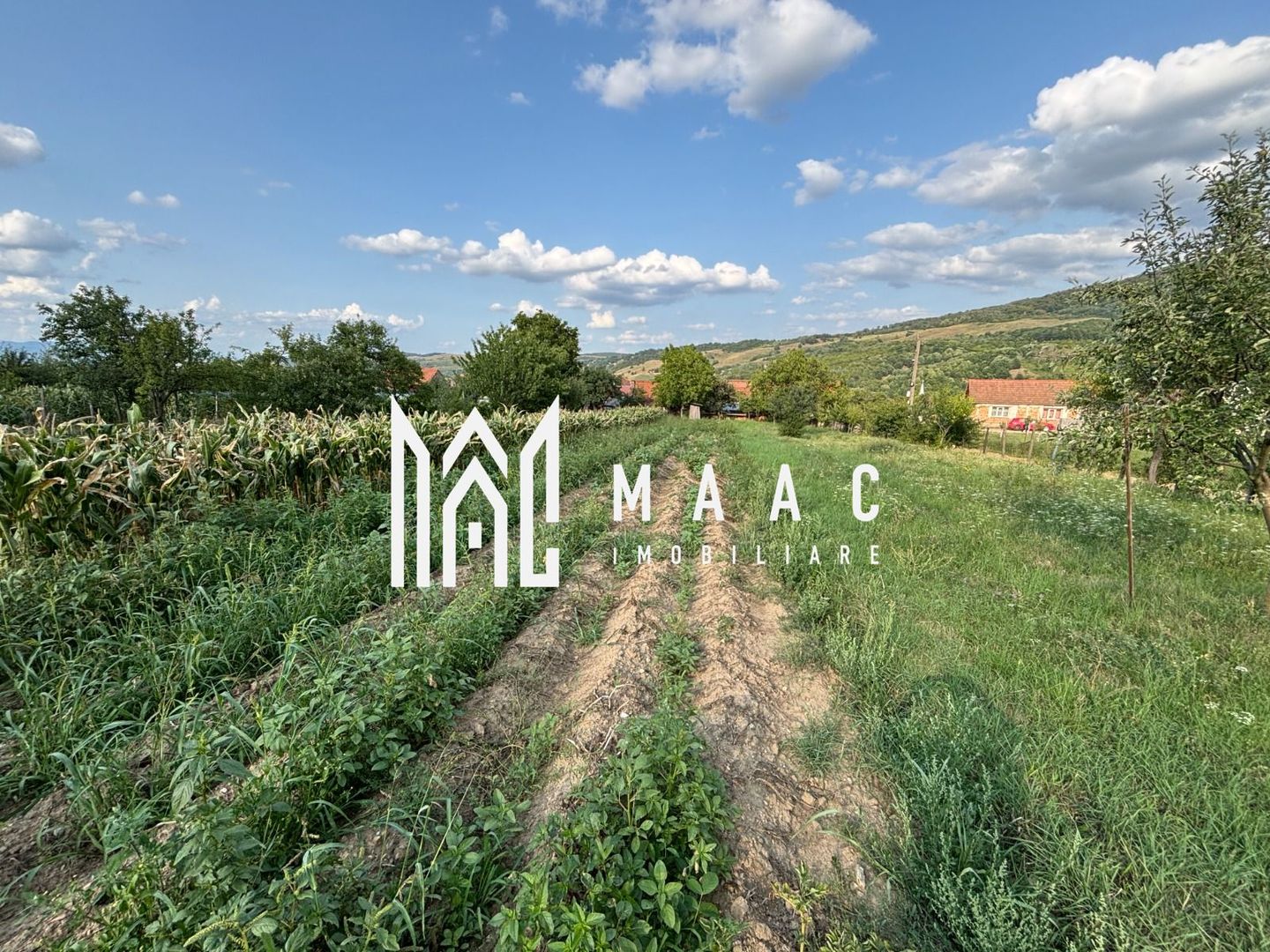 Casă 4 camere | 133 MPU | Acces auto | Pianu de Sus - Poză 22