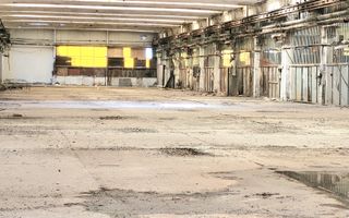 Hala - 2000 mp  # plus-imo.ro - Poză 4