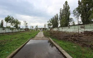Vanzare hale Mosnita Noua-fosta Ferma 7 - Poză 39