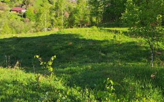 Teren extravilan de vanzare, Bistrita Bargaului- 10 minute de Colibita - Poză 5