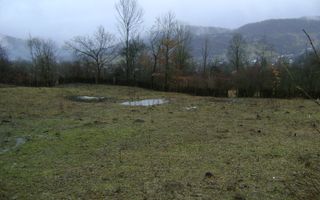 Teren de vanzare in Provita de jos - Poză 2