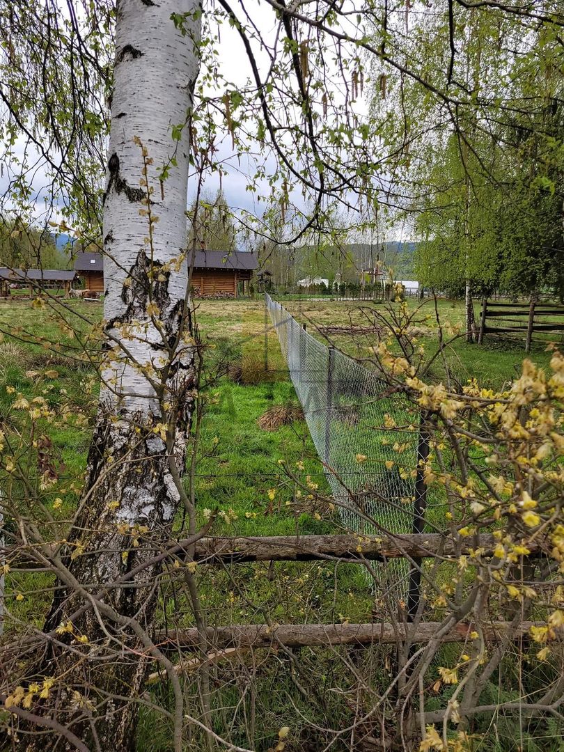 Teren Saru Dornei / Neagra Sarului - oportunitate investitie - Poză 6