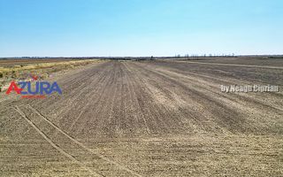 Teren agricol, 5HA, comasat, drum acces, Cateasca - Poză 7