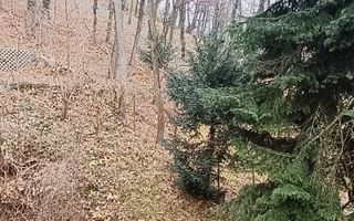 Proprietate cu priveliste si armonie placuta-Brasov - Poză 10