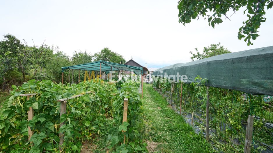 Casă cu teren generos – Vedea-Arges - Poză 34