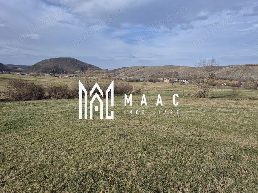 Teren extravilan | Investitie | Orlat - Poză 1