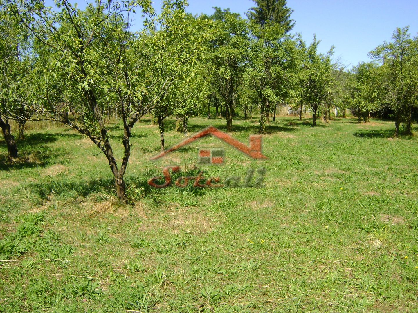 Teren  de vanzare Cornu 1919 mp - Poză 1