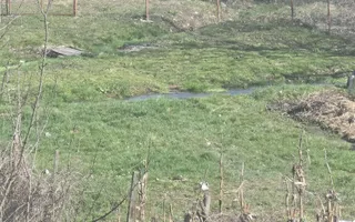 Proprietate de excepție în Lelești – la doar 8 km de Târgu Jiu - Poză 36